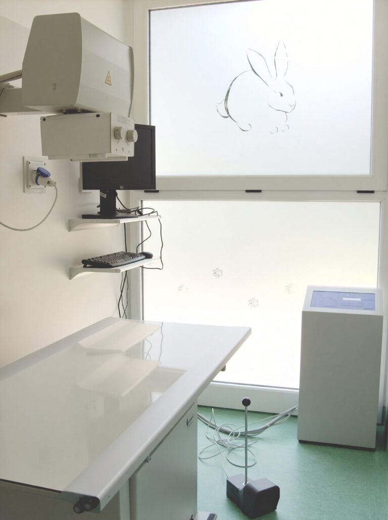 Sala RX (radiologia) dell'Ambulatorio Veterinario Villa Mafalda