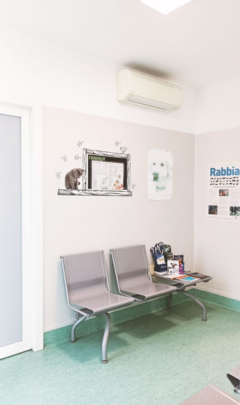 Sala d'attesa dell'Ambulatorio Veterinario Villa Mafalda a Montello